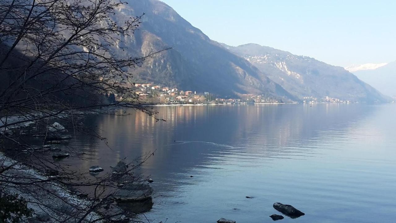New Eleven Apartment On Como Lake Oliveto Lario Εξωτερικό φωτογραφία